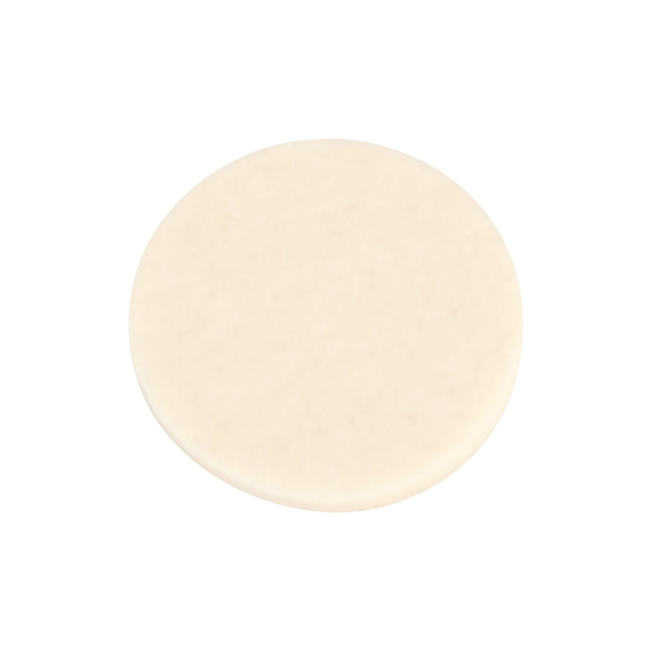 PSA Felt Disc 21mm for Angle Handpieces (Pkg. of 10)