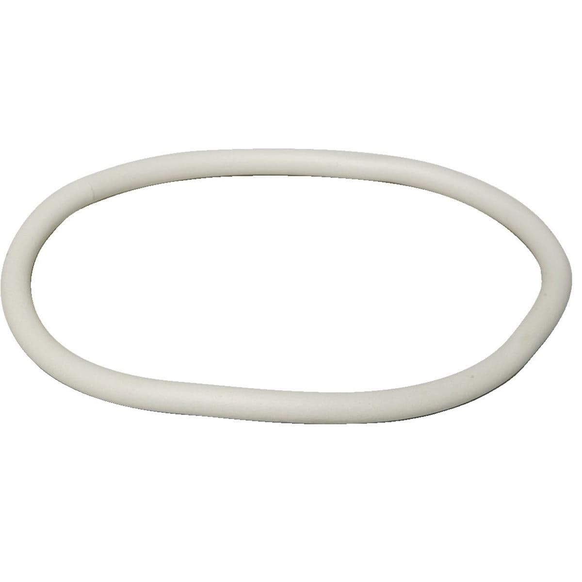 Birchmeier Sprayer Lid Gasket 144-129-01