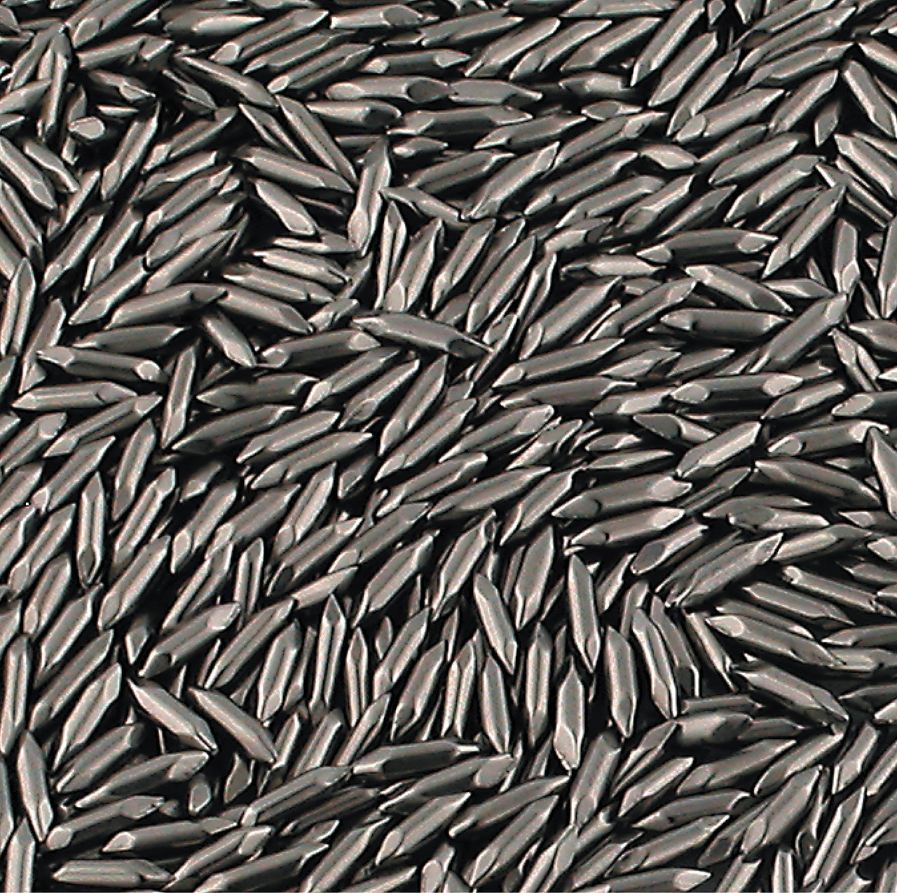 Stainless Steel Shot – Pins 10 lbs.