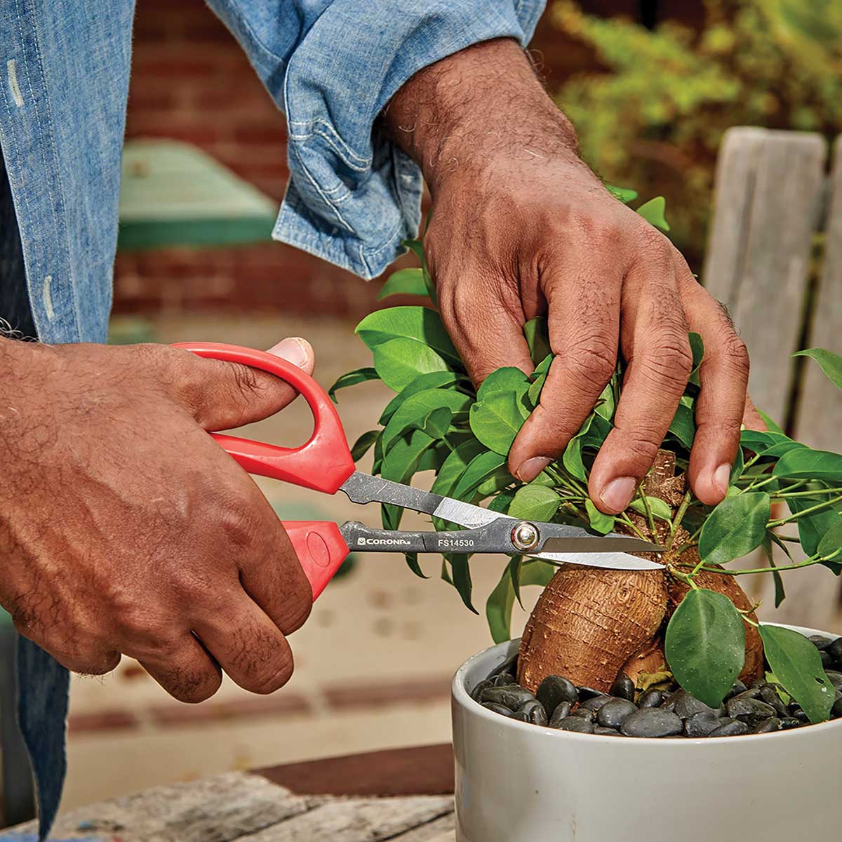 Corona Precision Pruning Scissors, FS14530