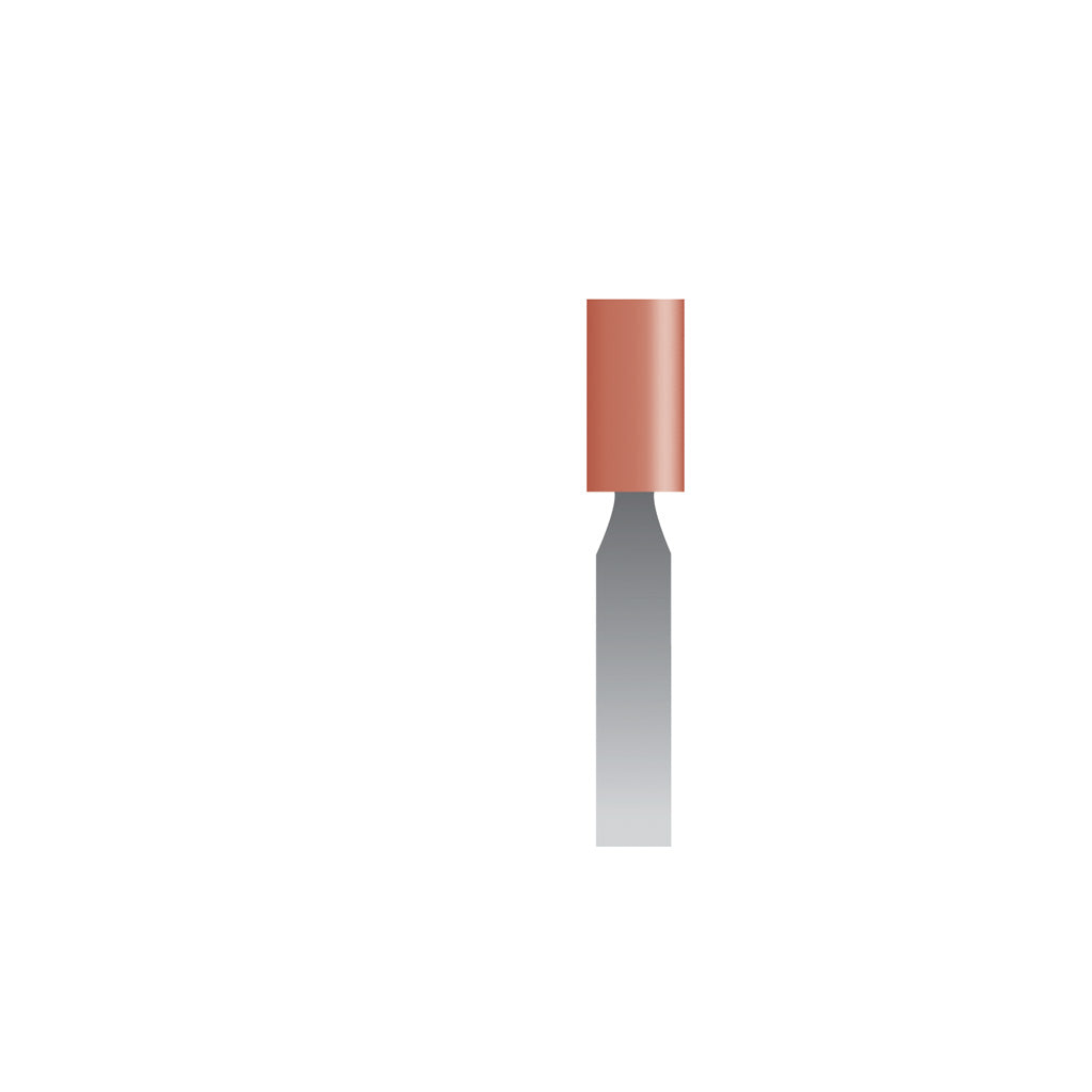 W144 Red Mounted Points 1/8″ Shank (Pkg of 24)