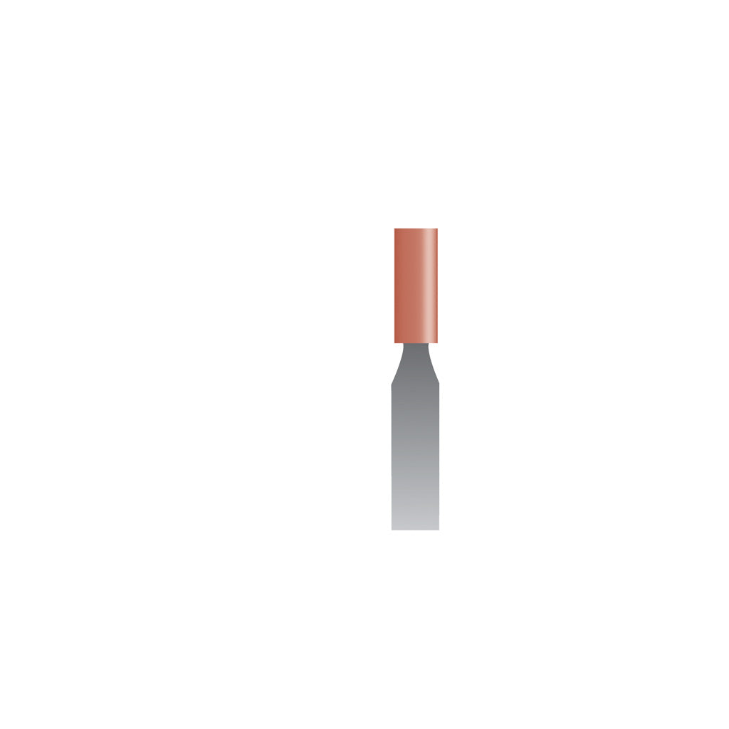 W142 Red Mounted Points 1/8″ Shank (Pkg of 24)