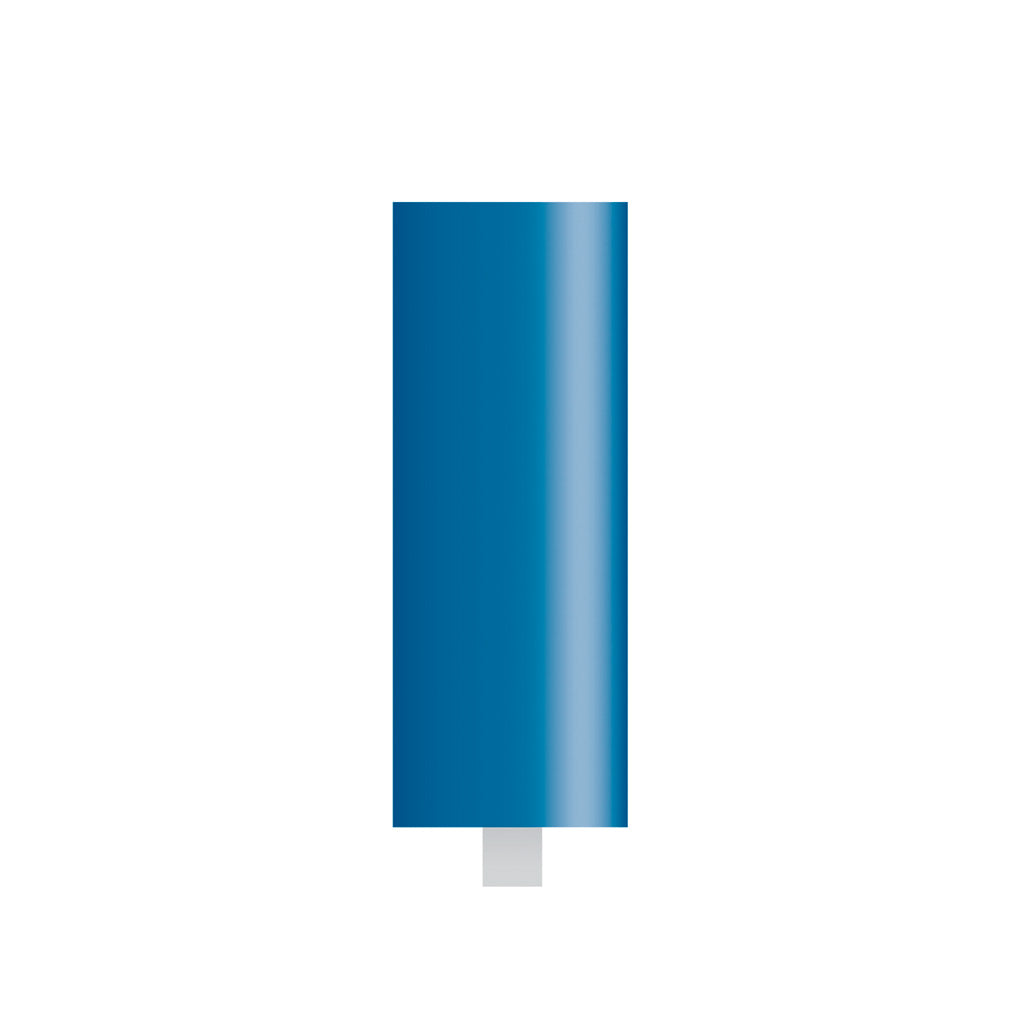 W178 Blue Mounted Points 1/8″ Shank (Pkg of 24)