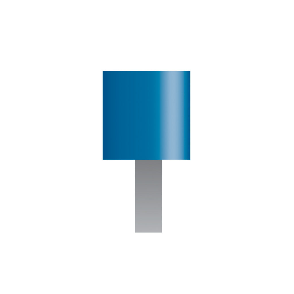 W168 Blue Mounted Points 3mm Shank (Pkg of 24)