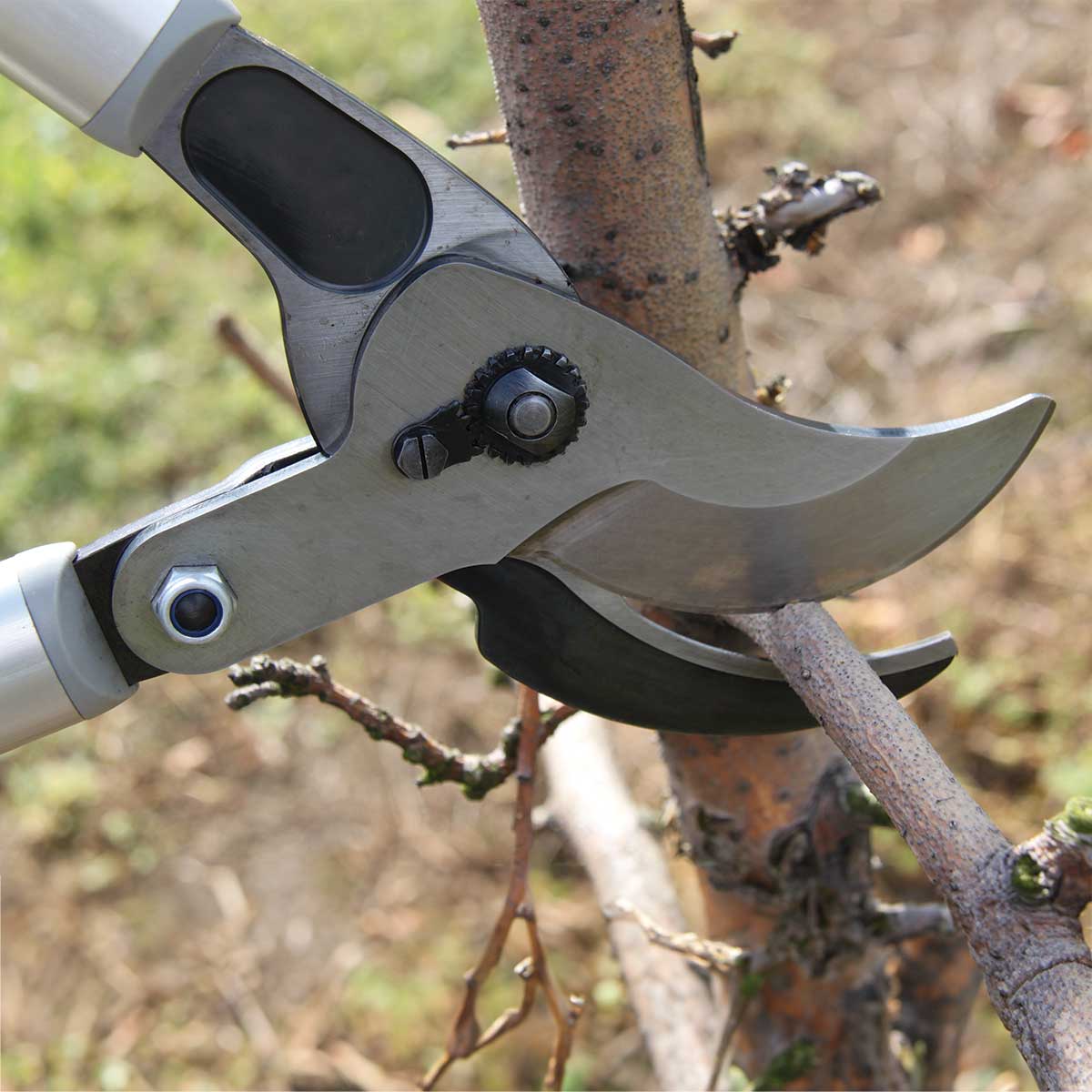 FELCO 220 Lever-Action Lopper Supply
