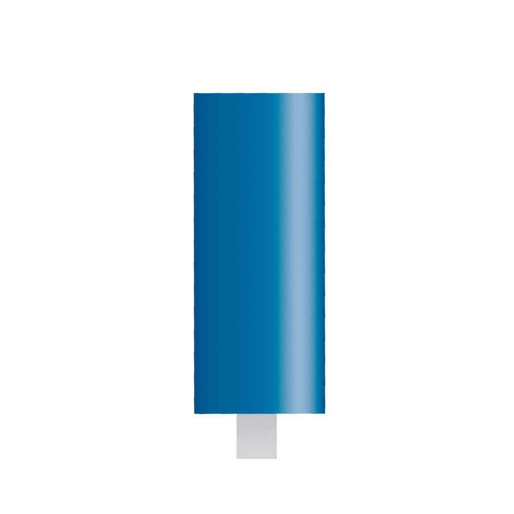 W171 Blue Mounted Points 1/8″ Shank (Pkg of 24)