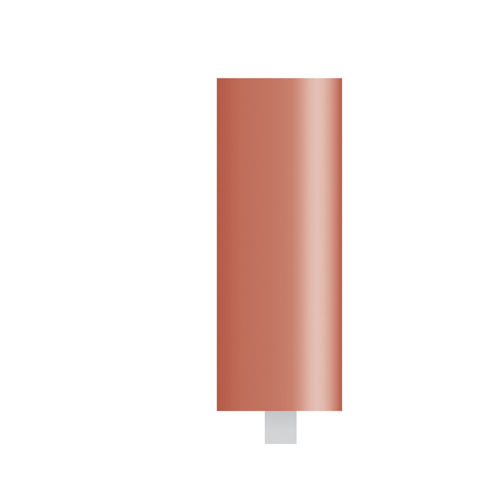 W178 Red Mounted Points 1/8″ Shank (Pkg of 24)