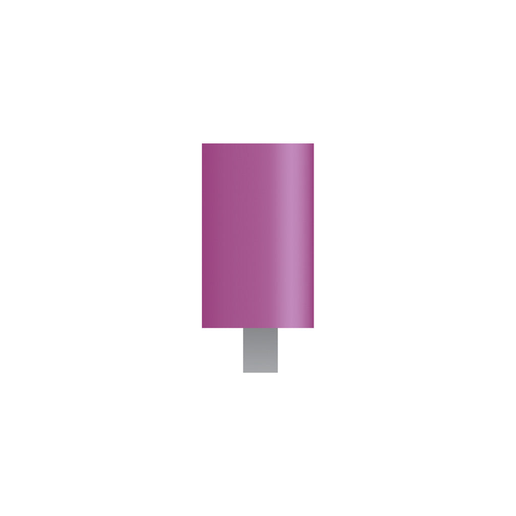 W170 Purple Mounted Points 1/8″ Shank (Pkg of 24) Online Sale