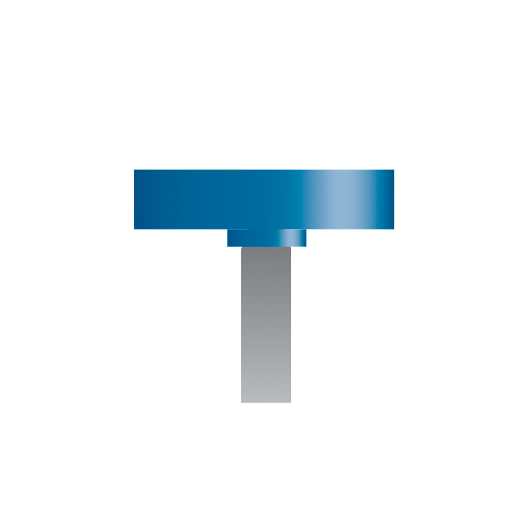 W182 Blue Mounted Points 1/8″ Shank (Pkg of 24)
