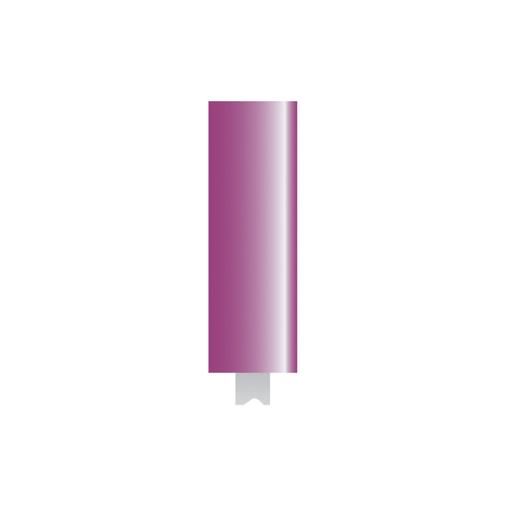 W164 Purple Mounted Points 1/8″ Shank (Pkg of 24)