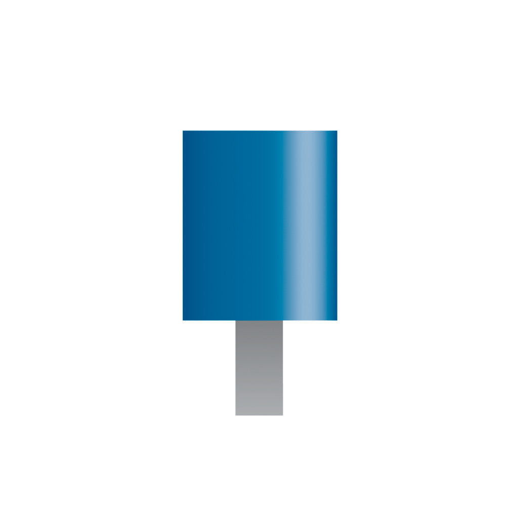 W169 Blue Mounted Points 1/8″ Shank (Pkg of 24)