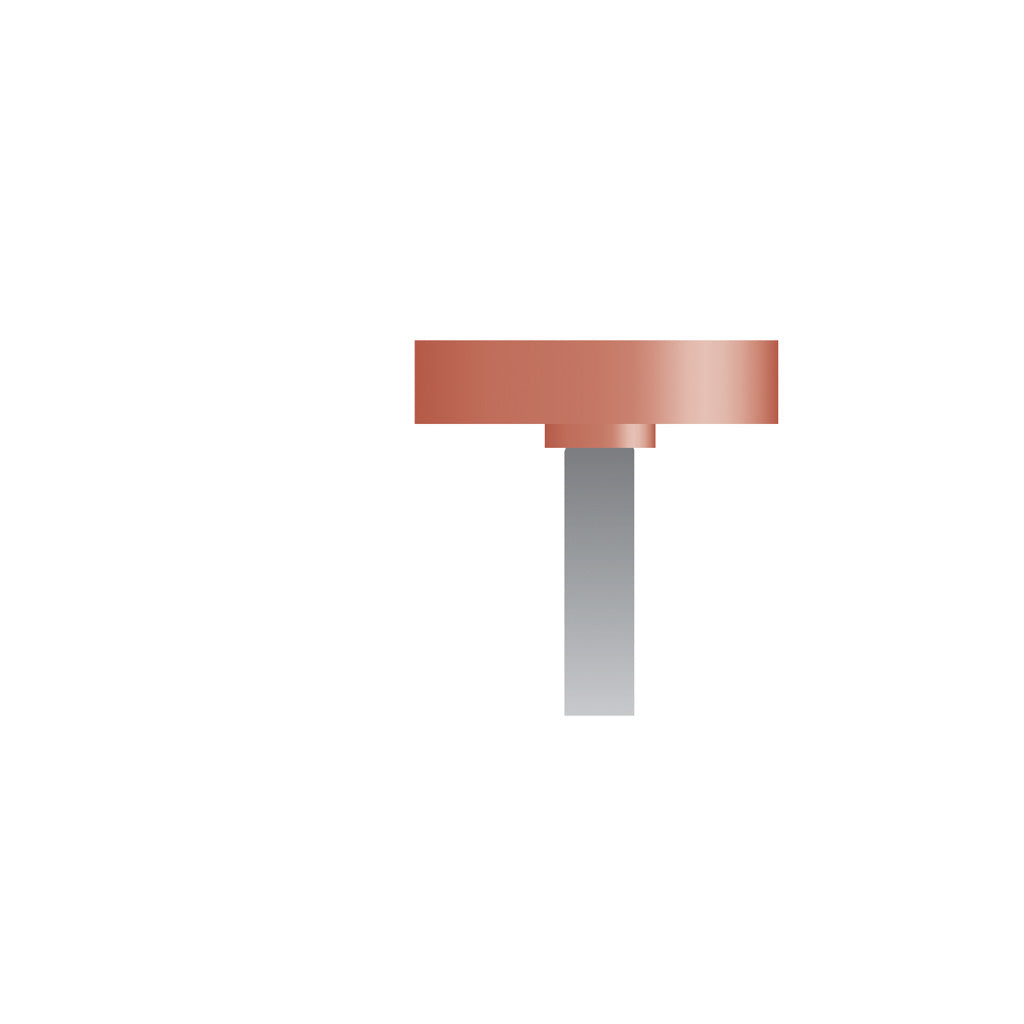 W182 Red Mounted Points 1/8″ Shank (Pkg of 24)