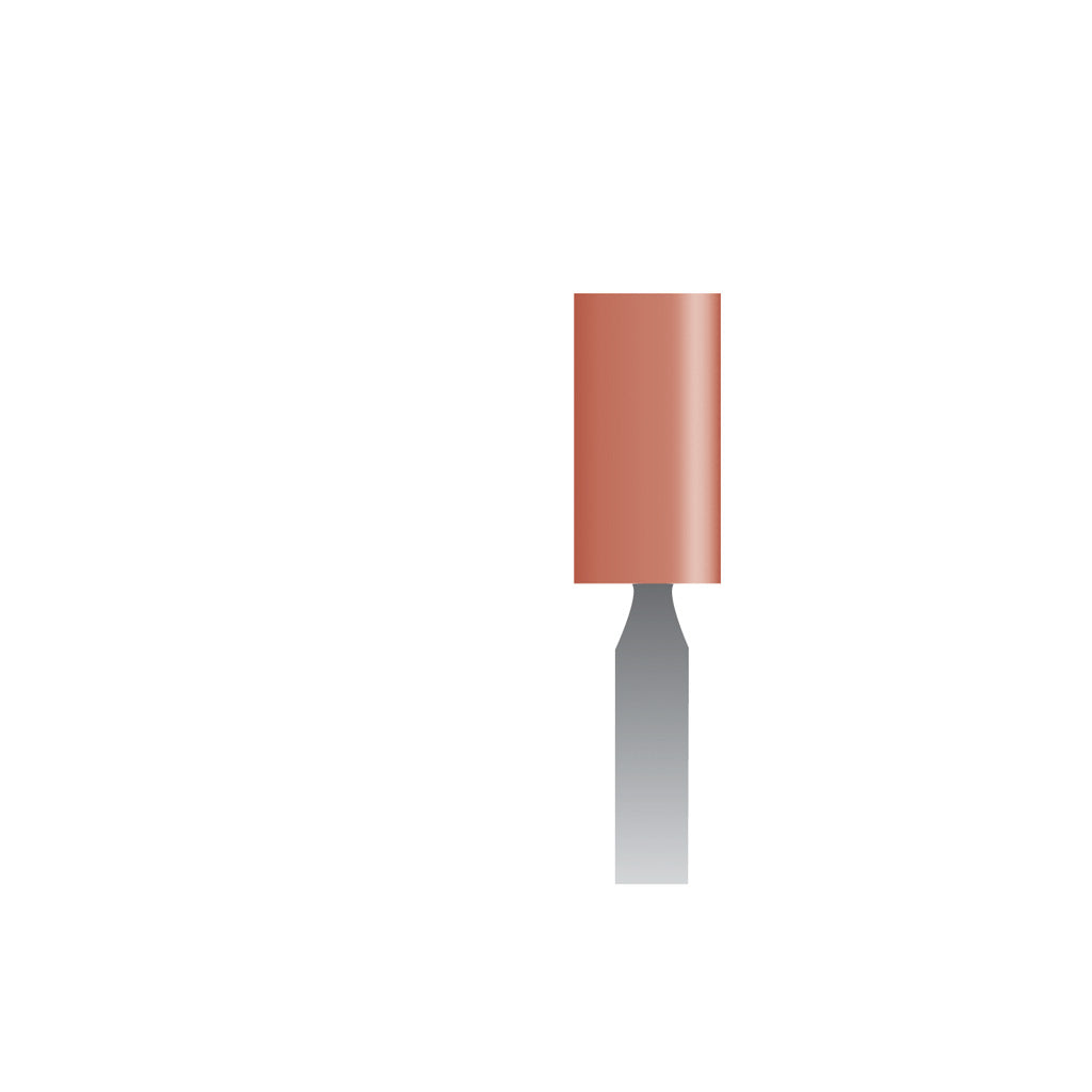 W153 Red Mounted Points 3mm Shank (Pkg of 24)