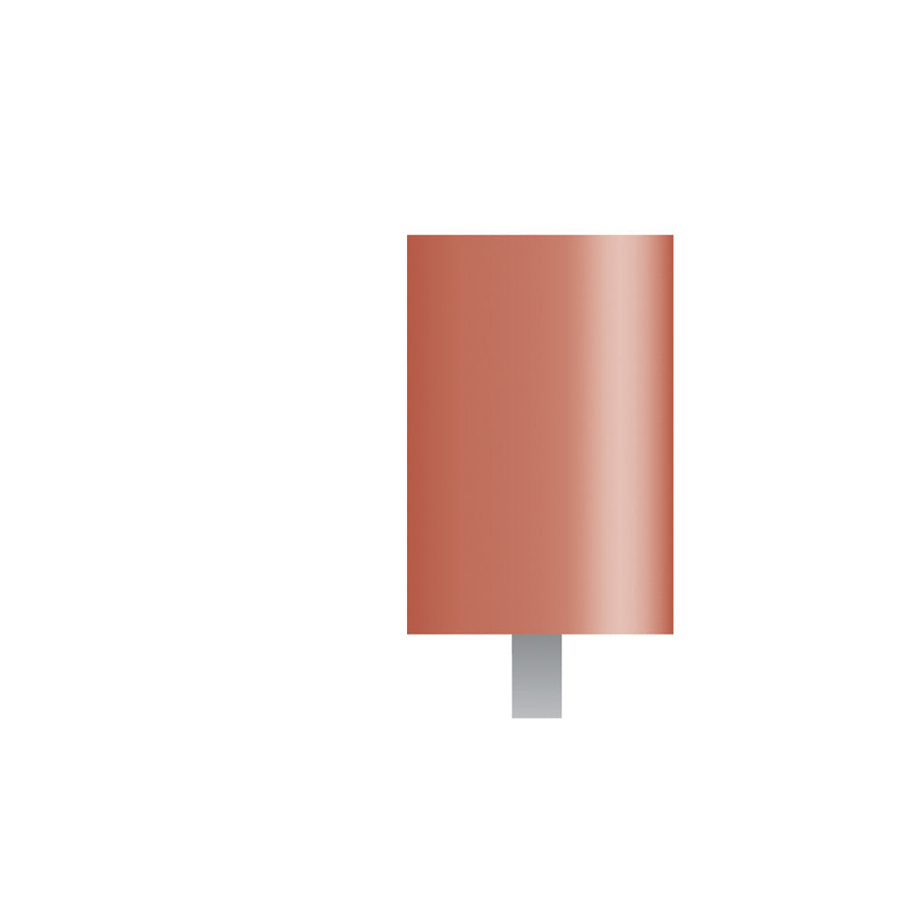 W186 Red Mounted Points 1/8″ Shank (Pkg of 24)
