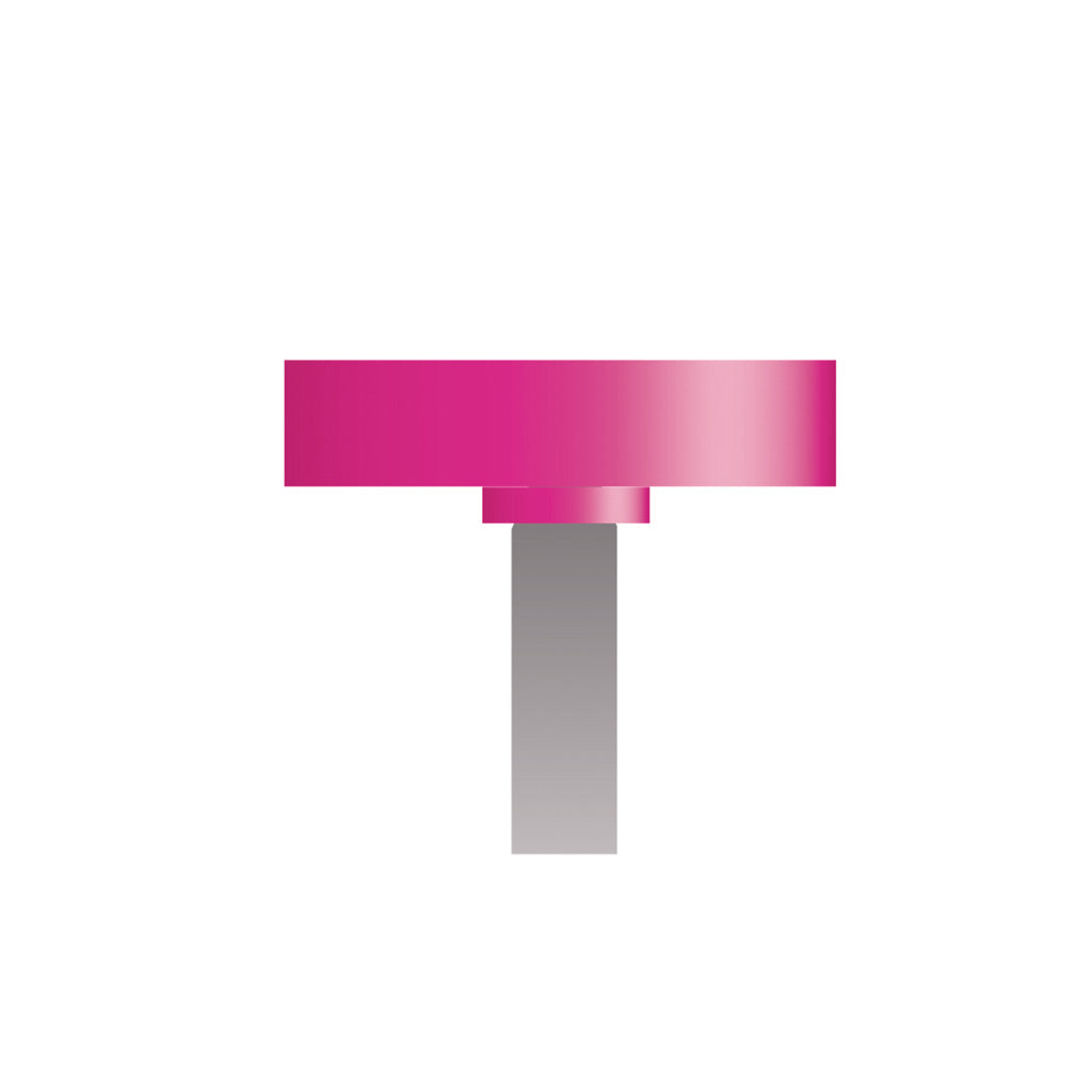 W182 Pink Mounted Points 1/8″ Shank (Pkg of 24)