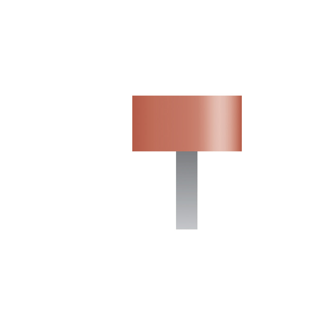 W183 Red Mounted Points 3mm Shank (Pkg of 24)