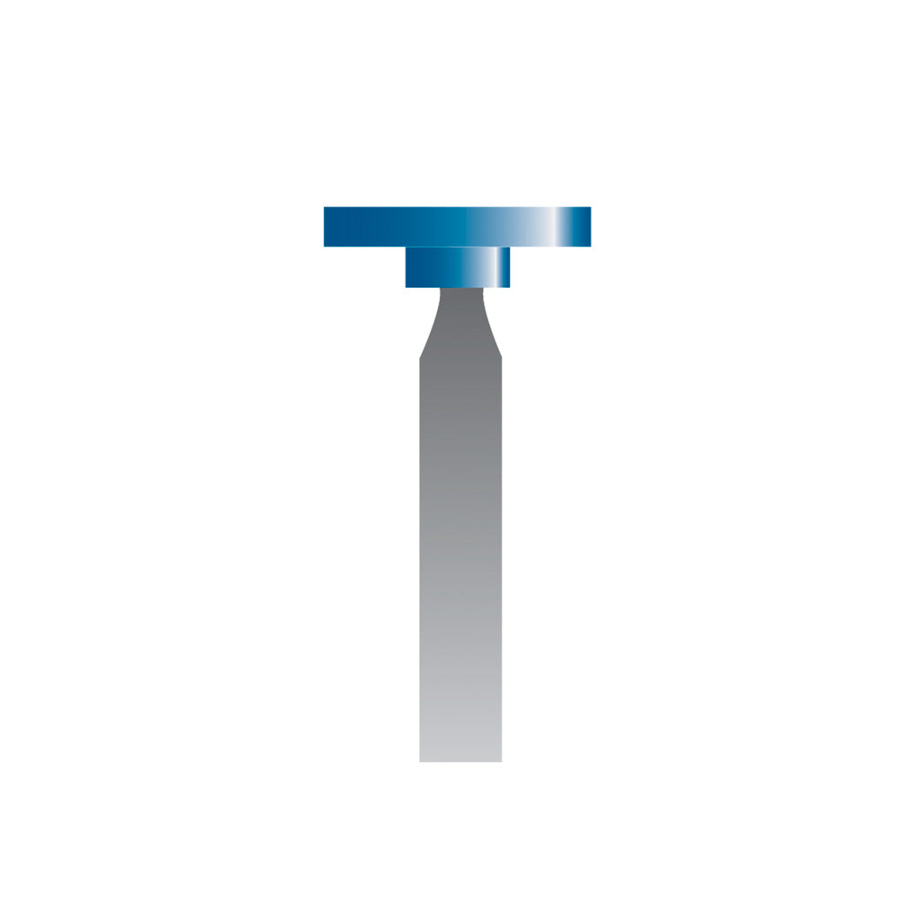 W165 Blue Mounted Points 1/8″ Shank (Pkg of 24)