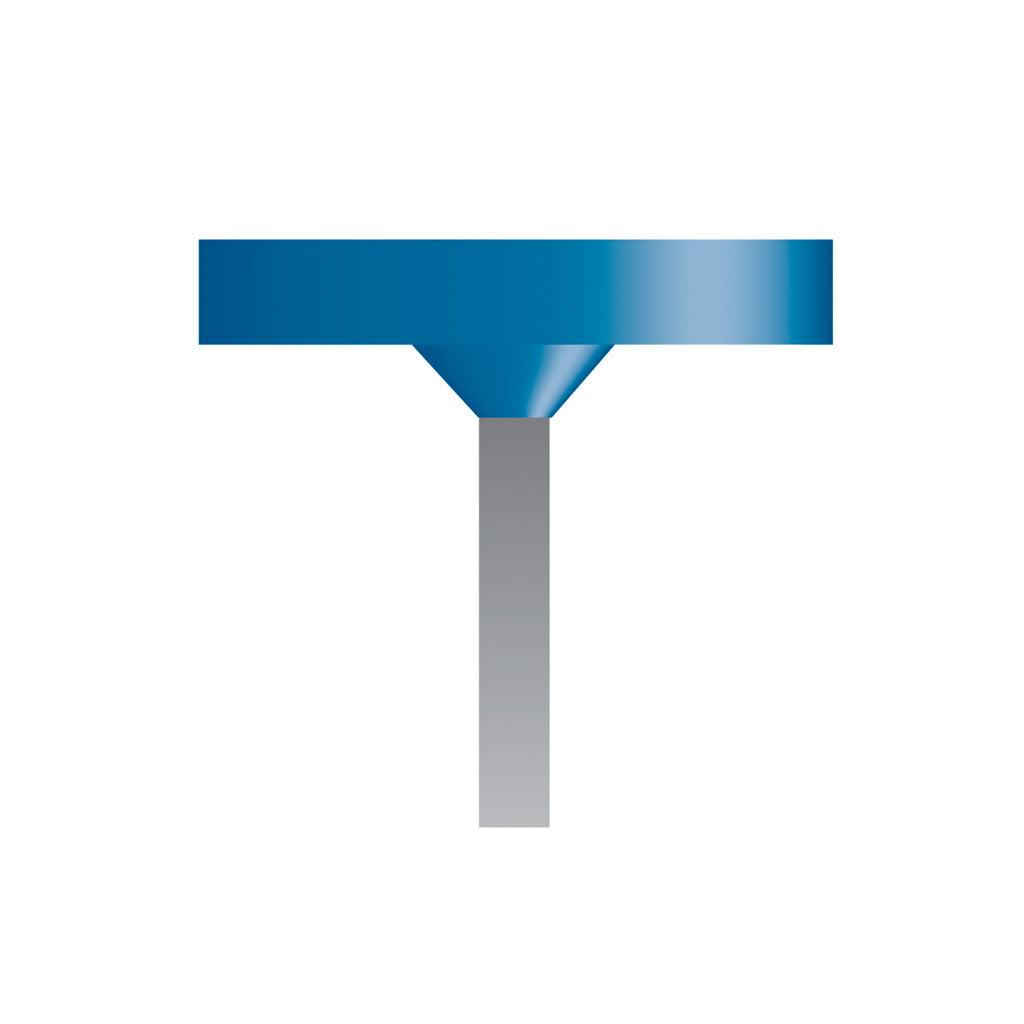 W200 Blue Mounted Points 1/8″ Shank (Pkg of 24)