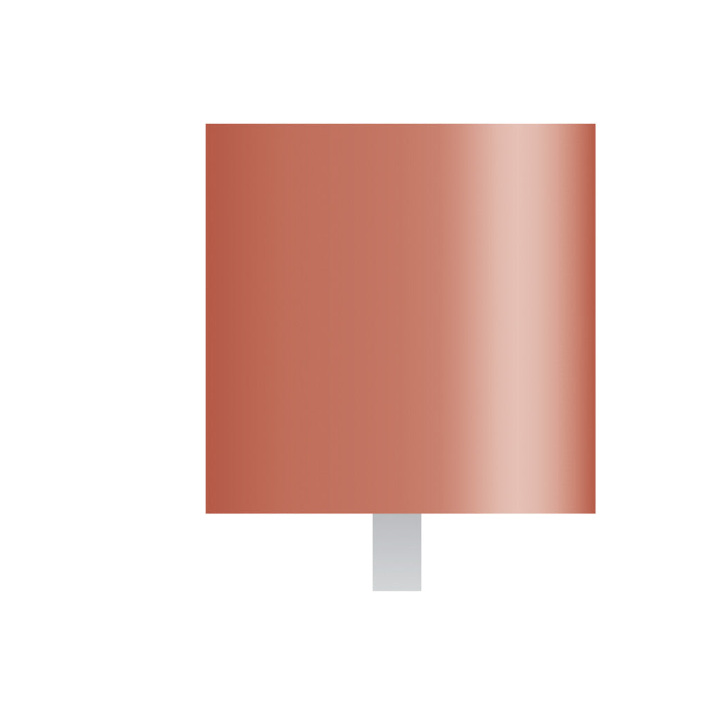 W204 Red Mounted Points 1/8″ Shank (Pkg of 24)