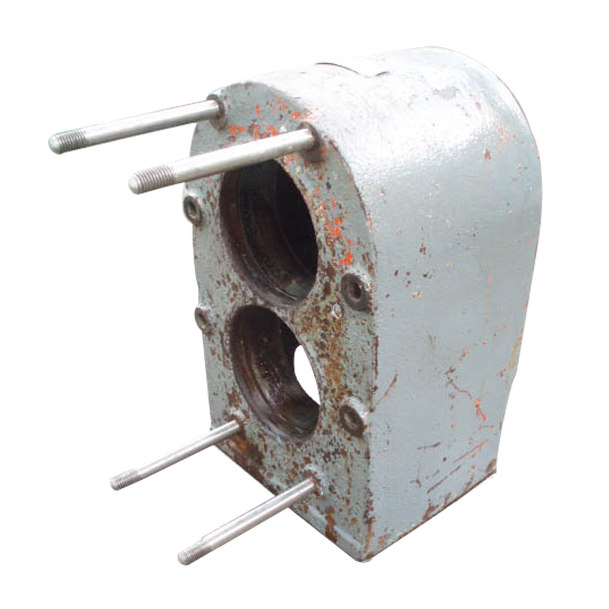 Tri-Clover PR300-4-TC1-4-ST-S Positive Displacement Pump