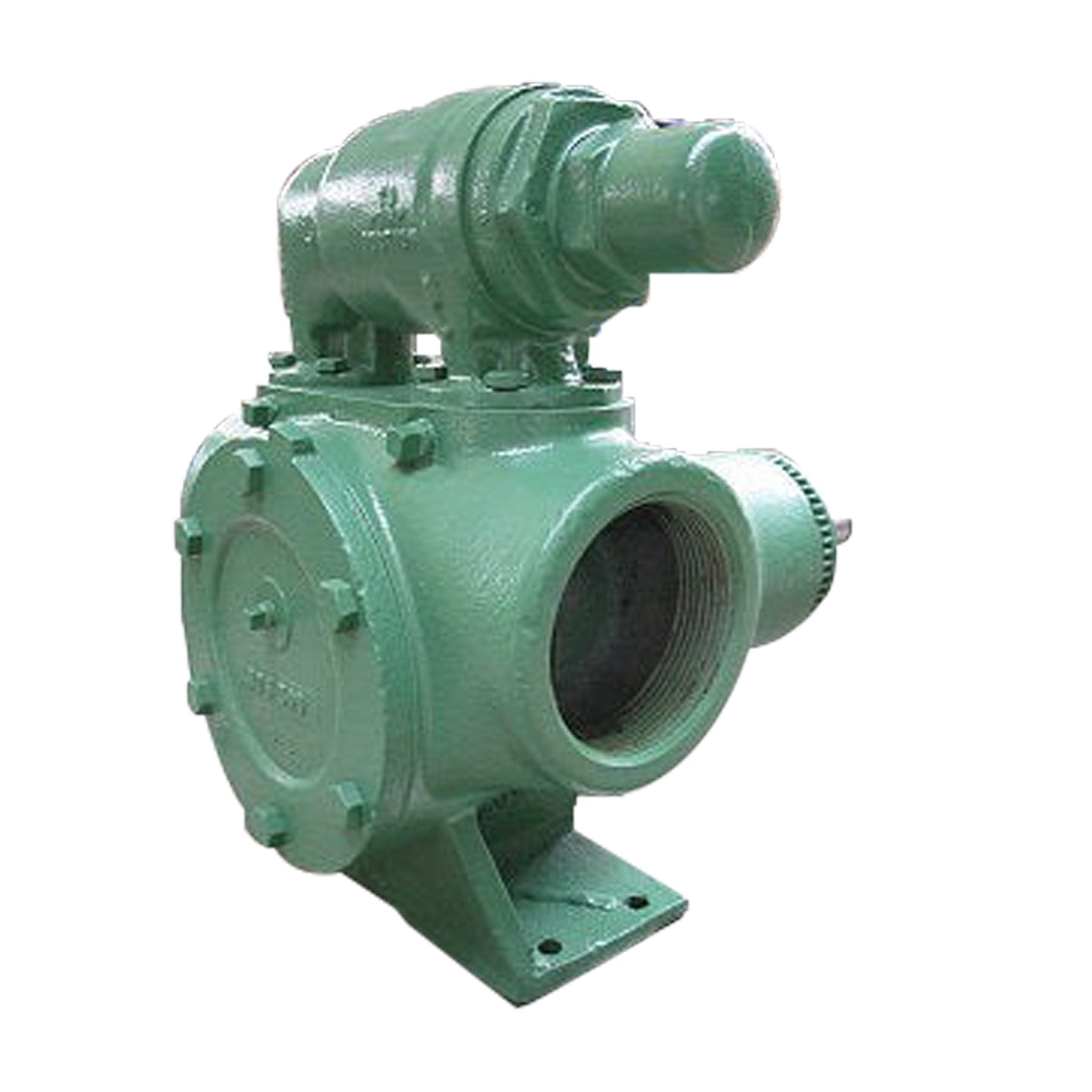 Viking AL195 Positive Displacement Gear Pump Fashion