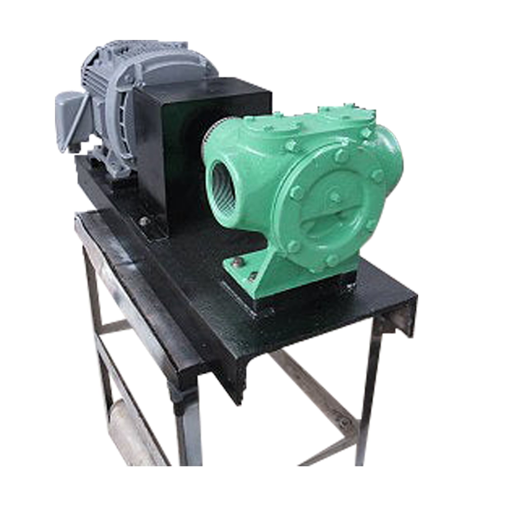 Viking AK195 Positive Displacement Pump