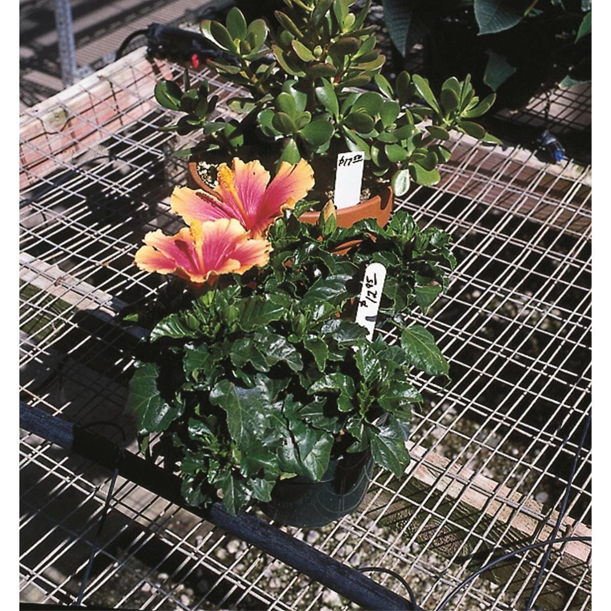Plastic Plant Labels Discount