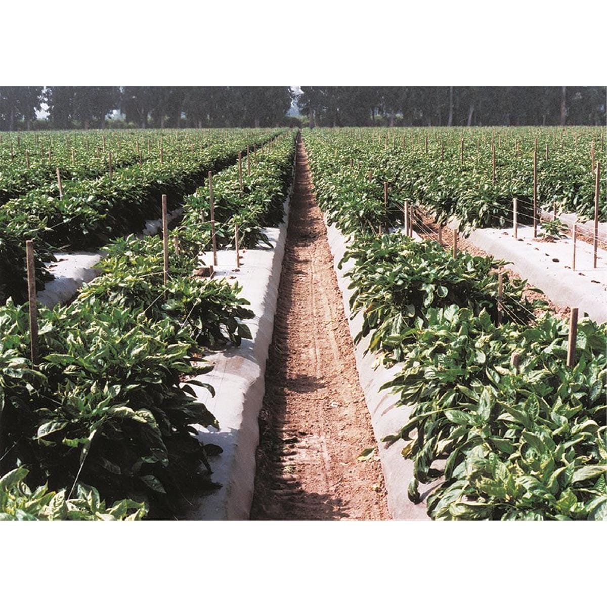 Reusable Seed Guard Fabric Roll