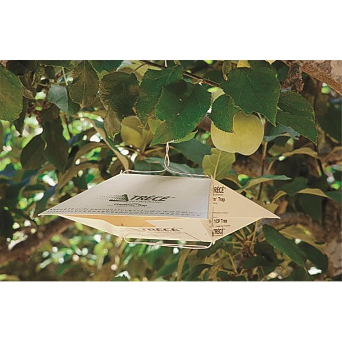 Trece Oriental Fruit Moth Trap Kit
