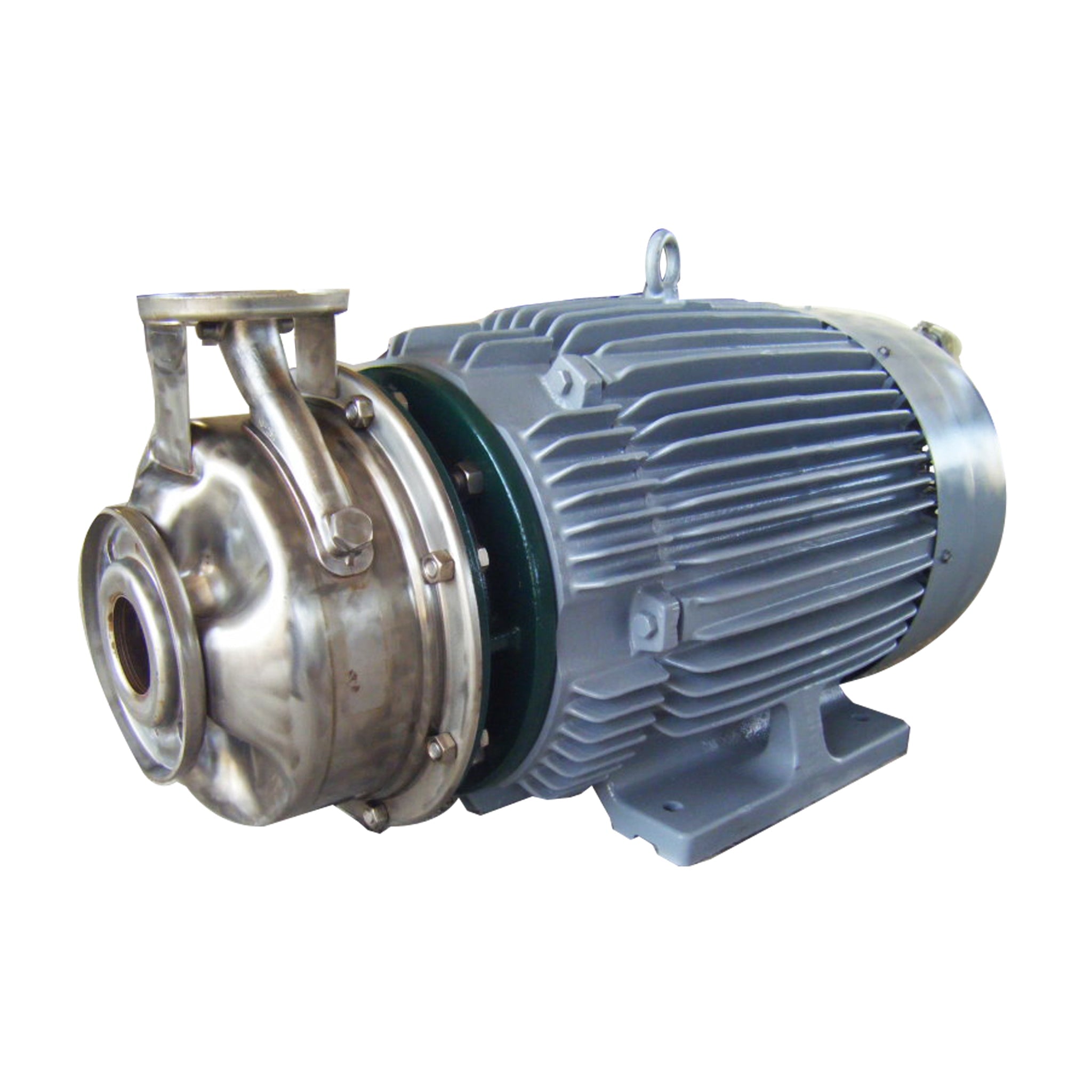 Goulds SST Centrifugal Pump (40 HP, 250 GPM Max)